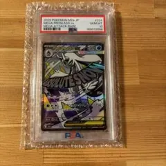 メガユキメノゴex PSA10 ポケモンカード