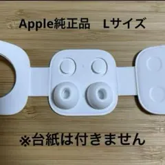 ⭐️Apple純正⭐️AirPodsPro イヤーチップ Ｌサイズ ②j