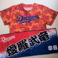 Item thumbnail for item 8abdca5c-aa91-4a06-bdc6-074a543d2b6f