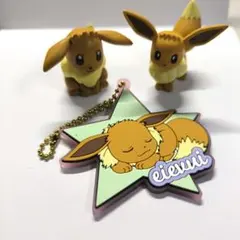 ポケモン イーブイセット