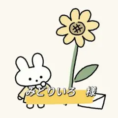 みどりいろ(プロフ必読ください)様 リクエスト 2点 まとめ商品