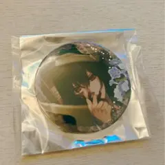 剣が君 鷺原左京 ビッグ缶バッジ 剣君