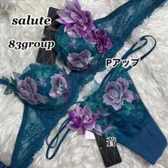 新品 ワコール サルート 49G 、モロッコ、高級下着上下、F65、 M