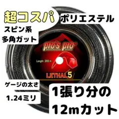 【激安多角ガット】pro's pro LETHAL5 テニスガット12mカット黒