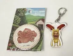 こびとづかん スモモノウチ缶バッジ ホトケアカバネアクリルキーホルダー