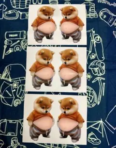 3枚セット（合計6匹） おなかぷにぷにシール柴犬 3Dステッカー シール帳