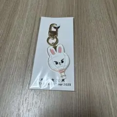 【新品未開封】スキズ 5-STAR ドームツアー Leebit