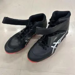 Item thumbnail for item 6500bb70-ac74-4d3f-9963-f9213dd30a55