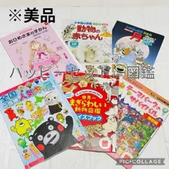 【美品】マクドナルド　ハッピーセット ずかん　6冊セット 図鑑 児童書