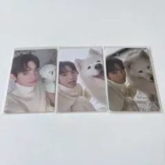 Item thumbnail for item 58947df9-91a0-49f9-a1a0-4bbccd896ef8