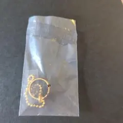 &team ニコラス　ネームリングチャーム