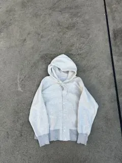 Chanpion reverse weave hoodie