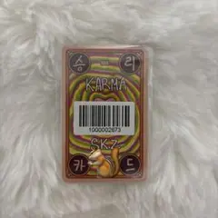 straykids スキズ KARMA FANS ラキドロ リアルタッチ ハン