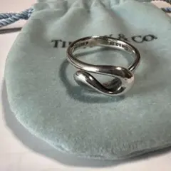 【TIFFANY&Co】鏡面仕上げ　ダイアゴナル　リング　12号　希少 TIFFANY&Co】鏡面仕上げ ダイアゴナル リング 12号 希少 - メルカリ