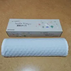 あおたけ運動枕 日本成人病予防協会推奨品 健康枕 カイロ