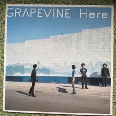 2026年最新】grapevine hereの人気アイテム - メルカリ