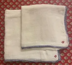 Item thumbnail for item a4264302-3d4f-4ba5-9a62-f7385b691788