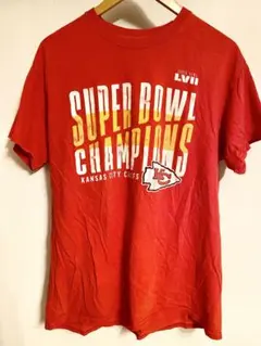 Item thumbnail for item 10f14d6a-9f04-4959-ba6c-10e0e74fdc3c