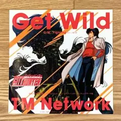 TM NETWORK/Get Wild