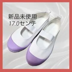 スクールシューズ　上履き　新品未使用　パープル　紫　17.0センチ
