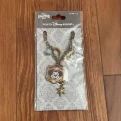 東京ディズニーリゾート キーホルダー