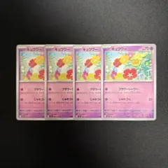 キュワワー　フラワーシャワー