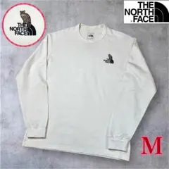 希少/ザ・ノースフェイス/ロングスリーブ Tシャツ/ヤマネコ/猫/刺繍/M