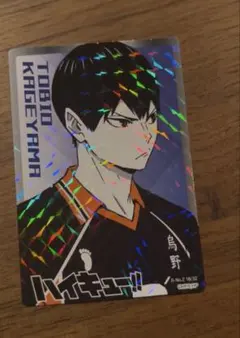 ハイキュー!! 影山飛雄 日向翔陽 ホロカードセット