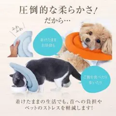 エリザベスカラー 【獣医師監修】 犬 猫 引っ掻き防止 オレンジ Lサイズ ソフ