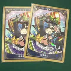 izumo様 リクエスト 2点 まとめ商品