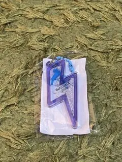 琵琶湖キーホルダーイナズマロックフェス限定