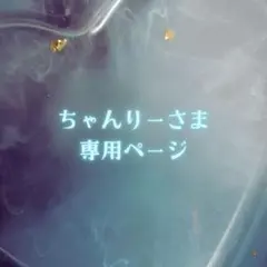 ちゃんりーさま専用ページ✦.˚