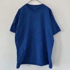 フルーツオブザルーム【XL】無地半袖Tシャツ 青 コットン カジュアル ゆるだぼのサムネイル
