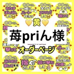 苺priん様　専用　カンペうちわ