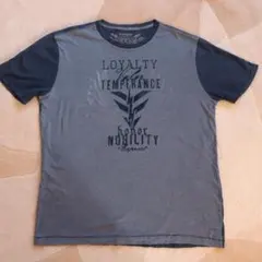 古着　Express 忠誠　勇気　自制　名誉　高潔　稲妻　切り返しTシャツのサムネイル