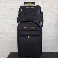 ⭐️超希少⭐️Disney公式 ディズニー ミッキーマウス キャディバック 希少 ディズニー ミッキーマウス キャディバッグ トラベルケース 新品