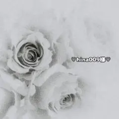 ♡hina009様専用♡