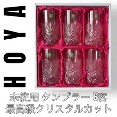 HOYA ホヤクリスタル　タンブラー　6客　切子グラス　保谷　クリスタルカット