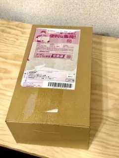 【新品未開封品】ポケモンセンター ヒロシマ スペシャルBOX