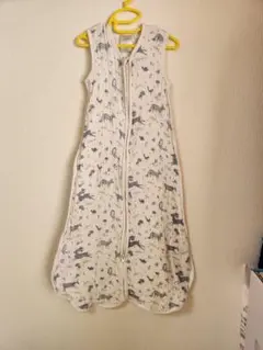 Item thumbnail for item 342c21ab-b97c-4ecf-8732-f872b99cfb7c