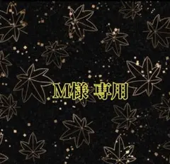 M様 リクエスト 3点 まとめ商品