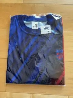 Item thumbnail for item b87b0b1d-d55a-4e51-a67b-50688da40468