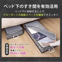 Astro 活性炭消臭 ベッド下収納ケース 仕切り付のサムネイル
