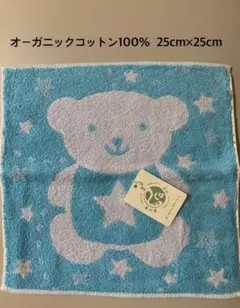 Item thumbnail for item 76a8a969-3ac5-48cb-add5-d148375b0d60