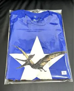 BUMP OF CHICKEN T恤 未使用 2012 GOLD GLIDER