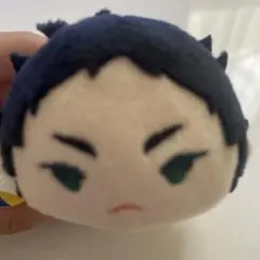 ハイキュー!! 赤葦京治 ぬいぐるみ