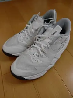 asics　アンプレアルス　low2のサムネイル