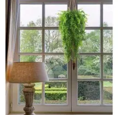 水入らず　インテリア　吊り下げ　フェイクグリーン 緑　4点セット　人工観葉植物