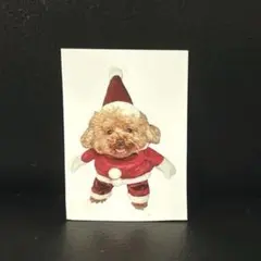 Item thumbnail for item 1da17d05-5908-405e-bc0b-3c9b75daa4d6