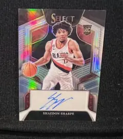 Item thumbnail for item 00e7f4db-c10d-46fe-82e3-41e5ff6cfc93